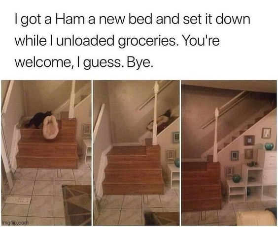 image tagged in memes,funny | made w/ Imgflip meme maker