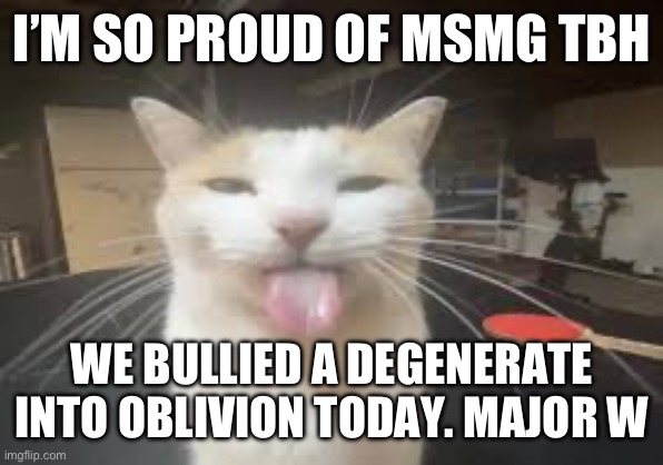 Cat | I’M SO PROUD OF MSMG TBH; WE BULLIED A DEGENERATE INTO OBLIVION TODAY. MAJOR W | image tagged in cat | made w/ Imgflip meme maker