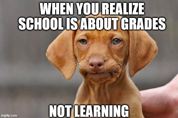 The sad truth | WHEN YOU REALIZE SCHOOL IS ABOUT GRADES; NOT LEARNING | image tagged in dissapointed puppy,truth,school,school meme,grades,learning | made w/ Imgflip meme maker