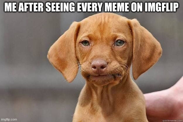 I feel like that | ME AFTER SEEING EVERY MEME ON IMGFLIP | image tagged in disapointed dog | made w/ Imgflip meme maker