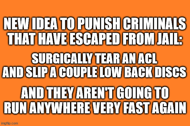 orange meme | NEW IDEA TO PUNISH CRIMINALS THAT HAVE ESCAPED FROM JAIL:; SURGICALLY TEAR AN ACL AND SLIP A COUPLE LOW BACK DISCS; AND THEY AREN'T GOING TO RUN ANYWHERE VERY FAST AGAIN | image tagged in orange meme,back,pain,old,body,fun | made w/ Imgflip meme maker