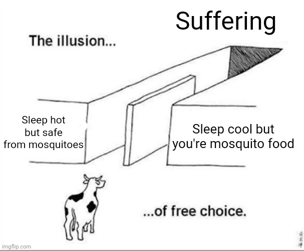 Summer is here ? | Suffering; Sleep hot but safe from mosquitoes; Sleep cool but you're mosquito food | image tagged in illusion of free choice | made w/ Imgflip meme maker
