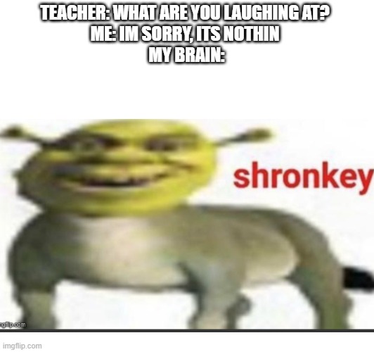 some more goofy ahh stuff | TEACHER: WHAT ARE YOU LAUGHING AT? 
ME: IM SORRY, ITS NOTHIN 
MY BRAIN: | image tagged in memes,shrek,goofy ahh,weird,stop reading the tags,oh wow are you actually reading these tags | made w/ Imgflip meme maker