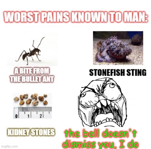 Worst pains known to man | the bell doesn't dismiss you, I do | image tagged in worst pains known to man | made w/ Imgflip meme maker