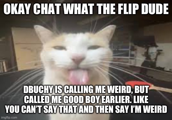 Cat | OKAY CHAT WHAT THE FLIP DUDE; DBUCHY IS CALLING ME WEIRD, BUT CALLED ME GOOD BOY EARLIER. LIKE YOU CAN’T SAY THAT AND THEN SAY I’M WEIRD | image tagged in cat | made w/ Imgflip meme maker