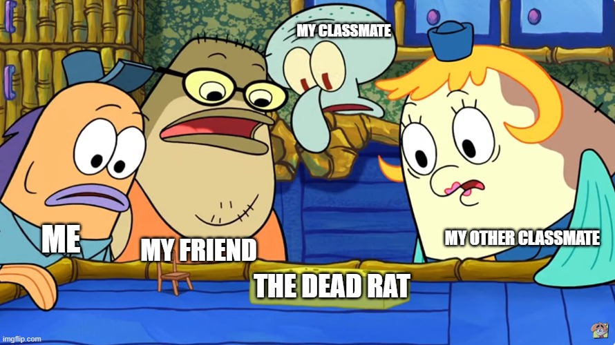 . | MY CLASSMATE; MY FRIEND; MY OTHER CLASSMATE; ME; THE DEAD RAT | image tagged in omg a sponge,memes | made w/ Imgflip meme maker