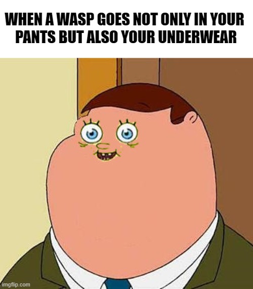 . | WHEN A WASP GOES NOT ONLY IN YOUR 
PANTS BUT ALSO YOUR UNDERWEAR | image tagged in small face peter griffen,memes | made w/ Imgflip meme maker