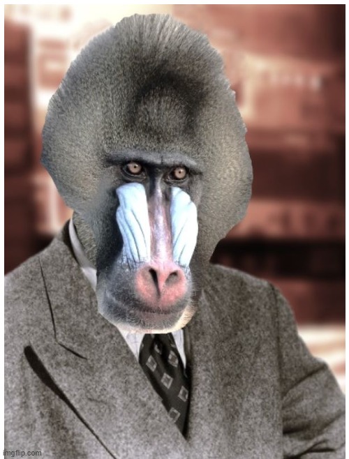Suited Mandrill | image tagged in mandrill | made w/ Imgflip meme maker