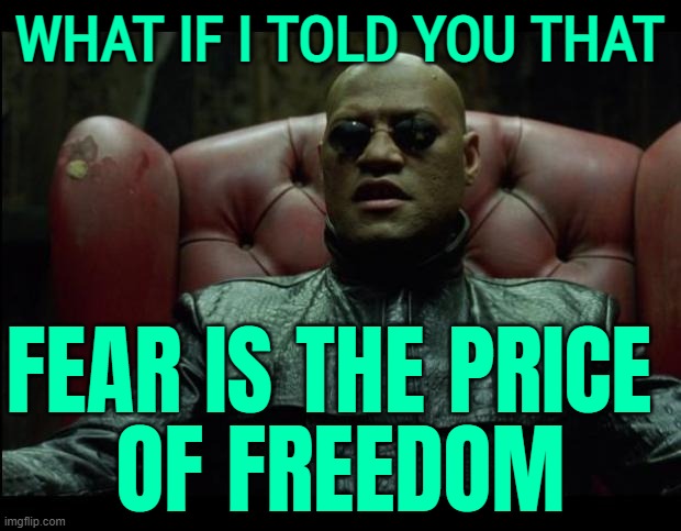 Fear Is The Price Of Freedom | WHAT IF I TOLD YOU THAT; FEAR IS THE PRICE 
OF FREEDOM | image tagged in what if i told you | made w/ Imgflip meme maker