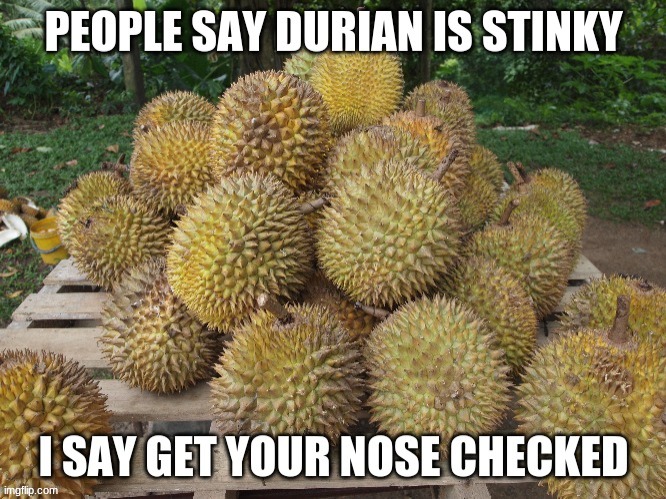 you say durian stinky? | image tagged in durian,stinky,durian revolution | made w/ Imgflip meme maker