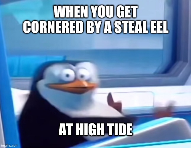 Hjmpjanjawpjm | WHEN YOU GET CORNERED BY A STEAL EEL; AT HIGH TIDE | image tagged in uh oh,tag | made w/ Imgflip meme maker