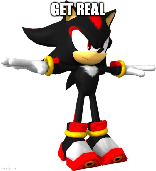 shadow the hedgehog t pose | GET REAL | image tagged in shadow the hedgehog t pose | made w/ Imgflip meme maker