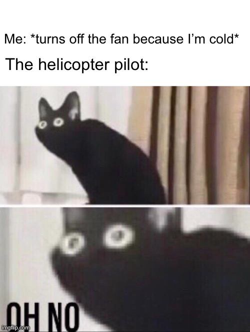 Oh no cat | Me: *turns off the fan because I’m cold*; The helicopter pilot: | image tagged in oh no cat,helicopter,cats | made w/ Imgflip meme maker