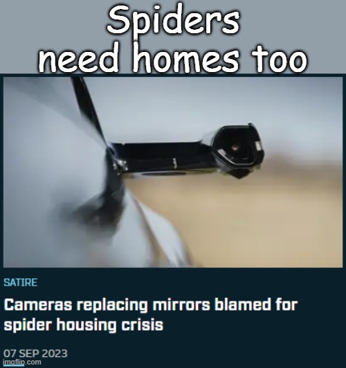 Spider homelessness problem | Spiders need homes too | image tagged in spider,homeless,cars | made w/ Imgflip meme maker
