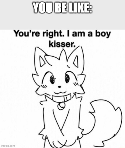 You're right. I am a boy kisser. | YOU BE LIKE: | image tagged in you're right i am a boy kisser | made w/ Imgflip meme maker