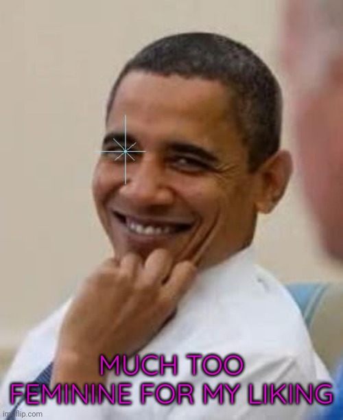 Doesn't like femininity. | MUCH TOO FEMININE FOR MY LIKING | image tagged in gay obama | made w/ Imgflip meme maker