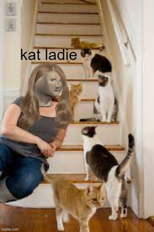 kat ladie Blank Meme Template