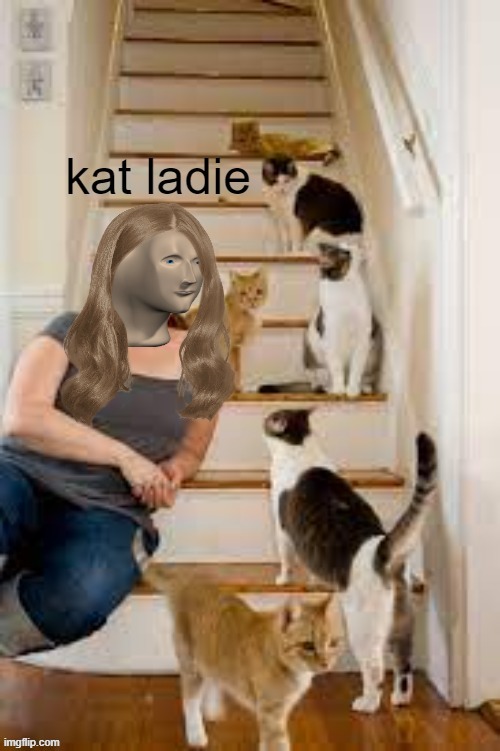 meme template | image tagged in kat ladie | made w/ Imgflip meme maker