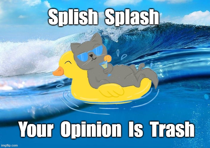 Splish Splash | Splish  Splash; Your  Opinion  Is  Trash | image tagged in cats,ocean,reactions,splish splash your opinion is trash | made w/ Imgflip meme maker