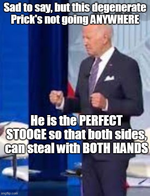 Unless he croaks of course | Sad to say, but this degenerate Prick's not going ANYWHERE; He is the PERFECT STOOGE so that both sides, can steal with BOTH HANDS | image tagged in biden stooge meme | made w/ Imgflip meme maker