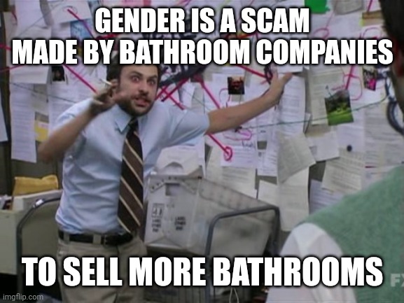 Charlie Day | GENDER IS A SCAM MADE BY BATHROOM COMPANIES TO SELL MORE BATHROOMS | image tagged in charlie day | made w/ Imgflip meme maker