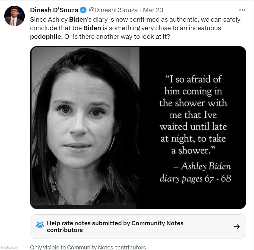 Fascistbook is still in denial over this. | image tagged in ashley biden,dear diary,showers with daddy,incest,pedo joe,pedohitler | made w/ Imgflip meme maker