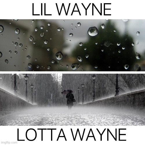 Lil Wayne | image tagged in lil wayne | made w/ Imgflip meme maker