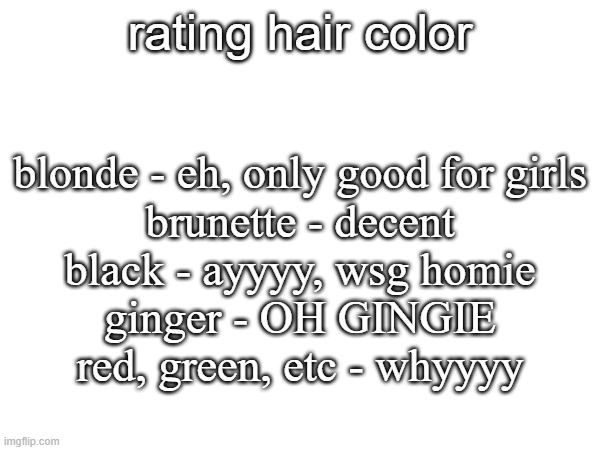 rating hair color; blonde - eh, only good for girls
brunette - decent
black - ayyyy, wsg homie
ginger - OH GINGIE
red, green, etc - whyyyy | made w/ Imgflip meme maker