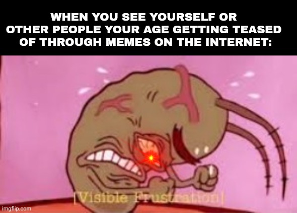Visible Frustration | WHEN YOU SEE YOURSELF OR OTHER PEOPLE YOUR AGE GETTING TEASED  OF THROUGH MEMES ON THE INTERNET: | image tagged in visible frustration | made w/ Imgflip meme maker
