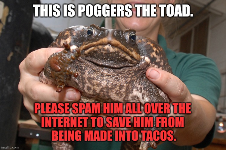 Goodbye poggers | THIS IS POGGERS THE TOAD. PLEASE SPAM HIM ALL OVER THE 
INTERNET TO SAVE HIM FROM 
BEING MADE INTO TACOS. | image tagged in goodbye,poggers | made w/ Imgflip meme maker