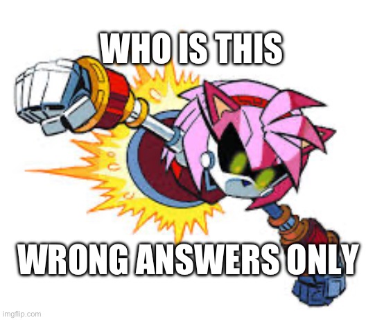 WHO IS THIS; WRONG ANSWERS ONLY | image tagged in sonic the hedgehog | made w/ Imgflip meme maker