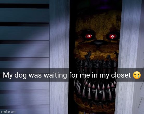 Golden Freddy in Closet | My dog was waiting for me in my closet 🥲 | image tagged in golden freddy in closet | made w/ Imgflip meme maker