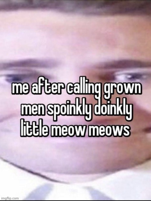 wssp my spoinkly doinkly little meow meows | made w/ Imgflip meme maker