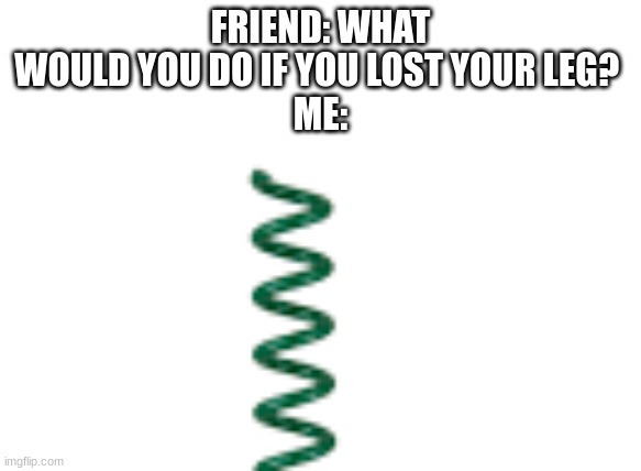 FRIEND: WHAT WOULD YOU DO IF YOU LOST YOUR LEG? 
ME: | made w/ Imgflip meme maker