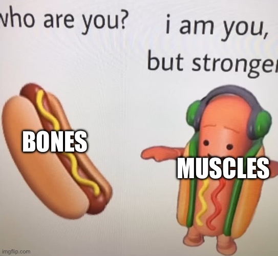 Dancing hotdog is stronger | BONES; MUSCLES | image tagged in dancing hotdog is stronger | made w/ Imgflip meme maker