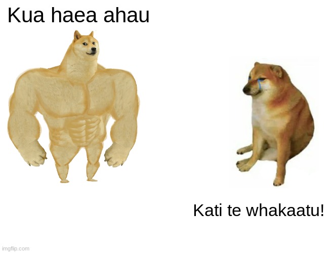 Buff Doge vs. Cheems Meme | Kua haea ahau; Kati te whakaatu! | image tagged in memes,buff doge vs cheems | made w/ Imgflip meme maker