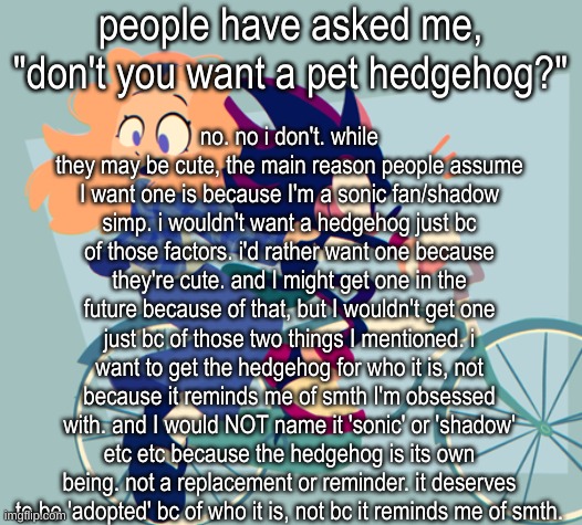 i simp for a fictional anthro one so i wouldnt get one to prevent assumptions that i'd fuck it. but i wouldn't | people have asked me, "don't you want a pet hedgehog?"; no. no i don't. while they may be cute, the main reason people assume I want one is because I'm a sonic fan/shadow simp. i wouldn't want a hedgehog just bc of those factors. i'd rather want one because they're cute. and I might get one in the future because of that, but I wouldn't get one just bc of those two things I mentioned. i want to get the hedgehog for who it is, not because it reminds me of smth I'm obsessed with. and I would NOT name it 'sonic' or 'shadow' etc etc because the hedgehog is its own being. not a replacement or reminder. it deserves to be 'adopted' bc of who it is, not bc it reminds me of smth. | image tagged in they onna bike | made w/ Imgflip meme maker