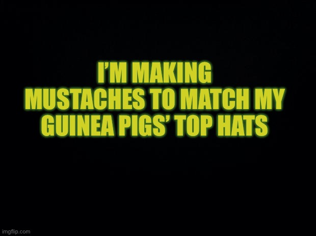 Black background | I’M MAKING MUSTACHES TO MATCH MY GUINEA PIGS’ TOP HATS | image tagged in black background | made w/ Imgflip meme maker