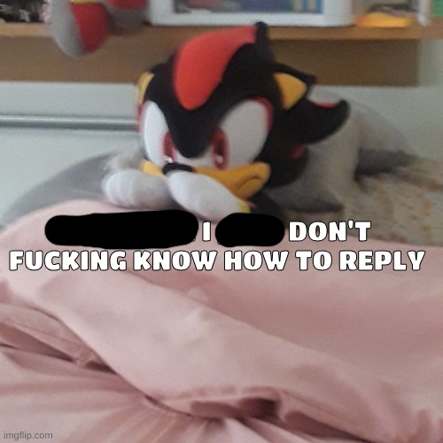 shadow i do care | image tagged in shadow i do care | made w/ Imgflip meme maker