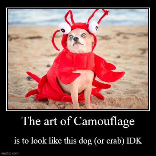 The art of Camouflage | is to look like this dog (or crab) IDK | image tagged in funny,demotivationals | made w/ Imgflip demotivational maker