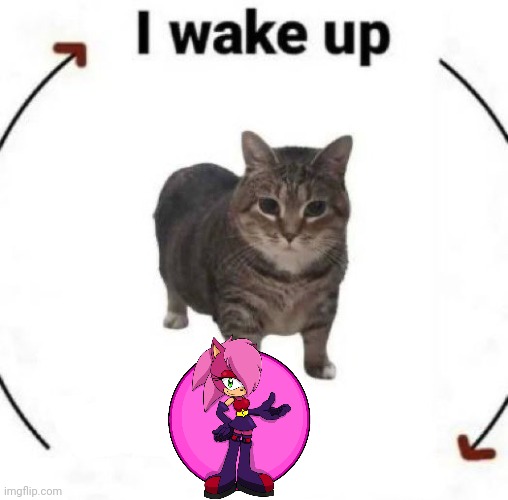 i wake up cat | image tagged in i wake up cat | made w/ Imgflip meme maker
