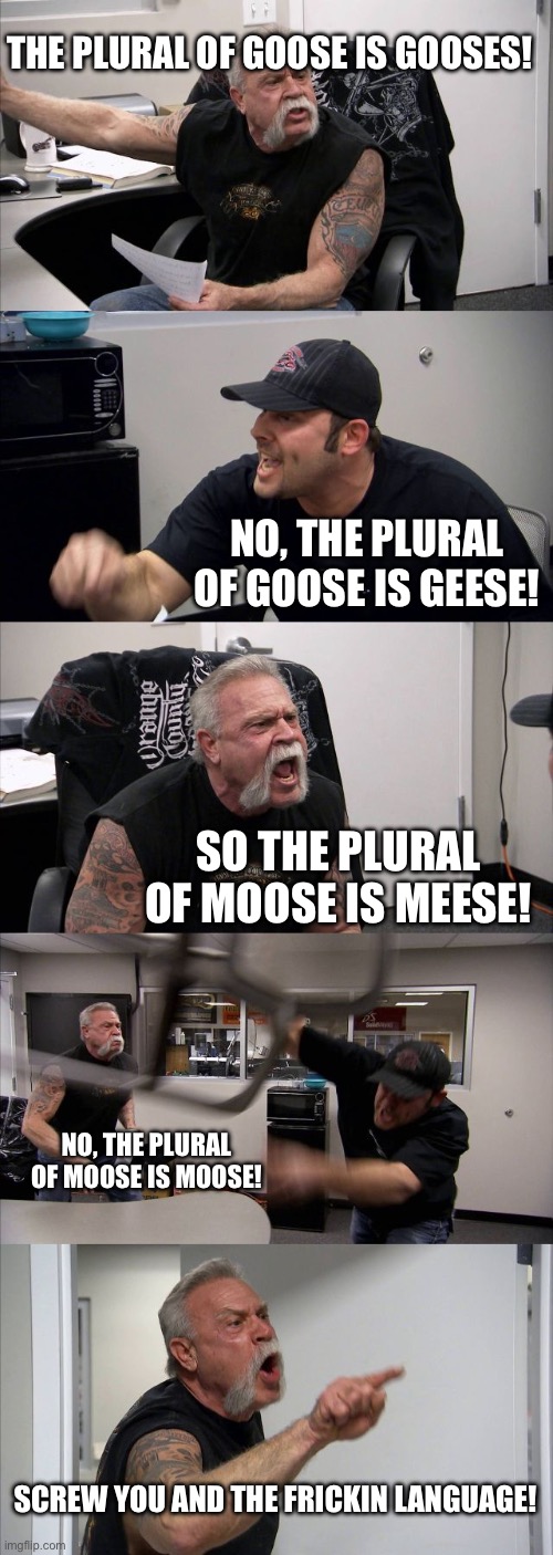 American Chopper Argument | THE PLURAL OF GOOSE IS GOOSES! NO, THE PLURAL OF GOOSE IS GEESE! SO THE PLURAL OF MOOSE IS MEESE! NO, THE PLURAL OF MOOSE IS MOOSE! SCREW YOU AND THE FRICKIN LANGUAGE! | image tagged in memes,american chopper argument,weird | made w/ Imgflip meme maker