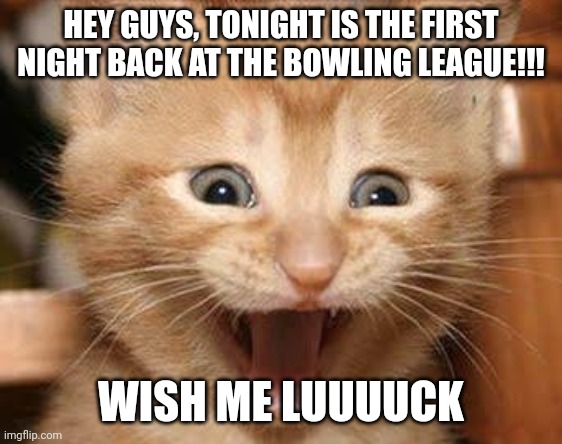 Woohoo | HEY GUYS, TONIGHT IS THE FIRST NIGHT BACK AT THE BOWLING LEAGUE!!! WISH ME LUUUUCK | image tagged in memes,excited cat,fun,bowling,funny,wish me luck | made w/ Imgflip meme maker