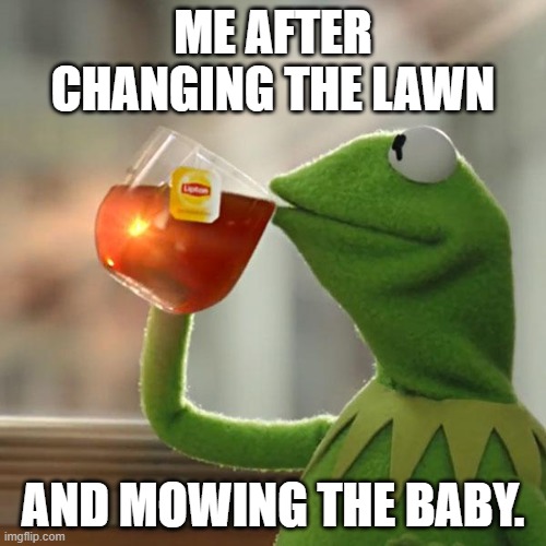 GET BACK TO WORK | ME AFTER CHANGING THE LAWN; AND MOWING THE BABY. | image tagged in memes,but that's none of my business,kermit the frog | made w/ Imgflip meme maker