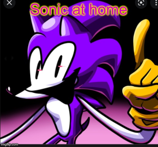 needlemouse doin pose thingie | Sonic at home | image tagged in needlemouse doin pose thingie | made w/ Imgflip meme maker