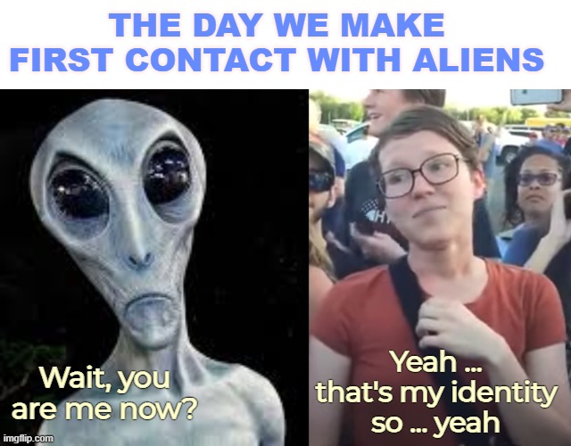 THE DAY WE MAKE FIRST CONTACT WITH ALIENS; Yeah ... that's my identity so ... yeah; Wait, you are me now? | image tagged in gender identity,aliens,funny | made w/ Imgflip meme maker