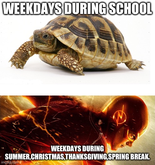 This is Too true :( | WEEKDAYS DURING SCHOOL; WEEKDAYS DURING SUMMER,CHRISTMAS,THANKSGIVING,SPRING BREAK. | image tagged in slow vs fast meme | made w/ Imgflip meme maker