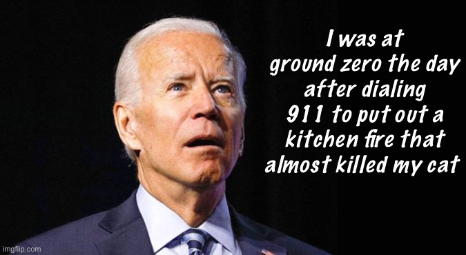 Joe was there | I was at ground zero the day after dialing 911 to put out a kitchen fire that almost killed my cat | image tagged in confused joe biden,politics lol,memes | made w/ Imgflip meme maker