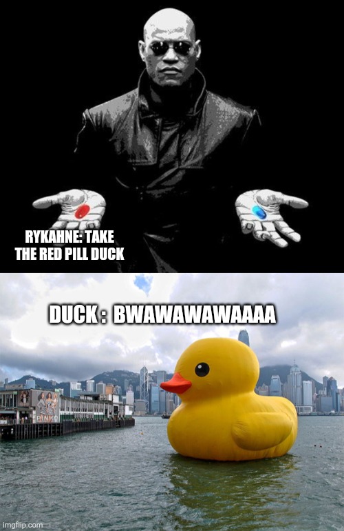 RYKAHNE: TAKE THE RED PILL DUCK DUCK :  BWAWAWAWAAAA | image tagged in matrix morpheus offer,big yellow duck | made w/ Imgflip meme maker