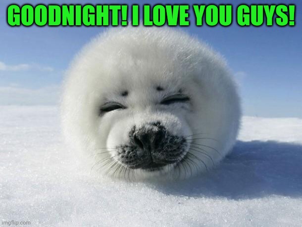 Seal Of Approval | GOODNIGHT! I LOVE YOU GUYS! | image tagged in seal of approval | made w/ Imgflip meme maker